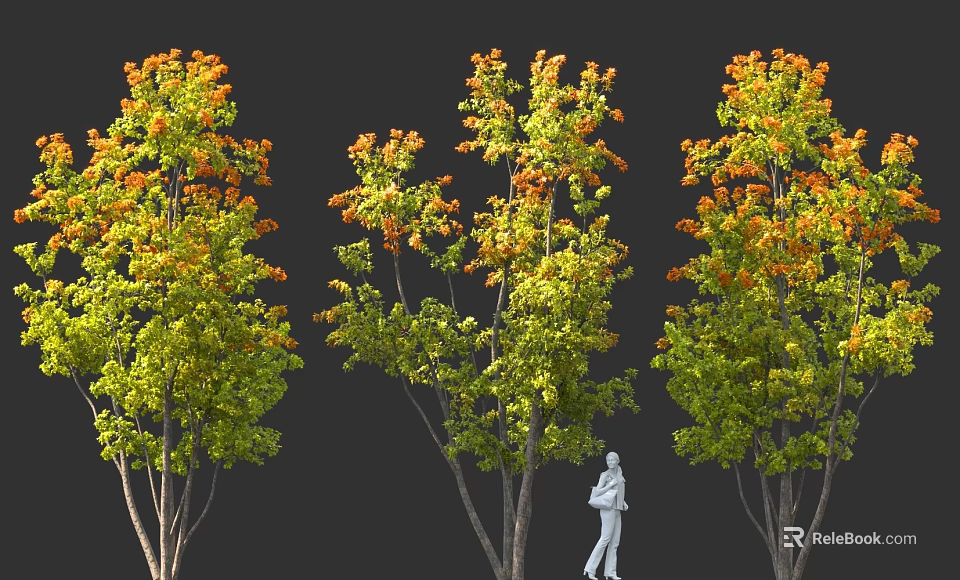 Three Deciduous Arbors with Green and Orange Foliage and Human Figure for Scale 3d model 