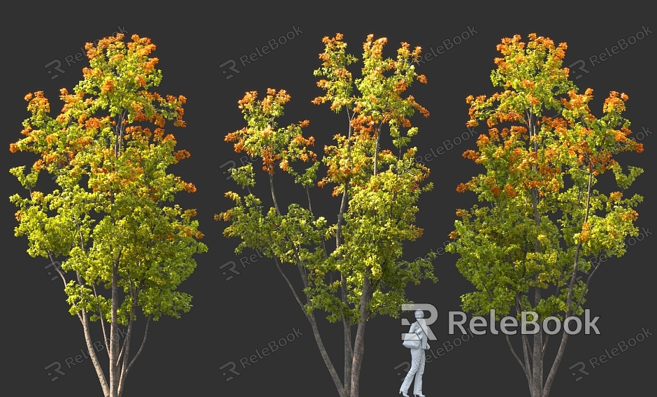 Cluster landscape tree tree pond flower bed street tree garden solitary tree planting model