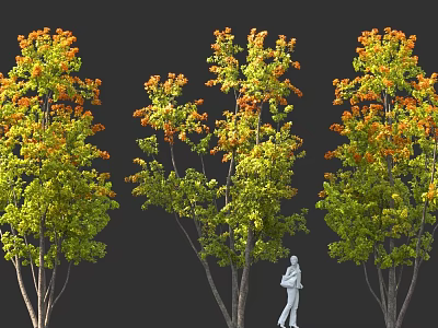 Three Deciduous Arbors with Green and Orange Foliage and Human Figure for Scale 3d model