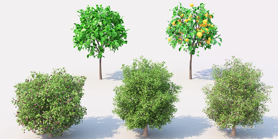 Various Tree Varieties with Lush Green Leaves and Yellow Fruits 3d model 