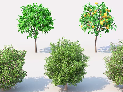 Various Tree Varieties with Lush Green Leaves and Yellow Fruits 3d model
