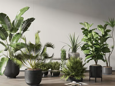 Indoor Potted Plants Various Green Leafy Types In Different Style Planters For Interior Decoration 3d model