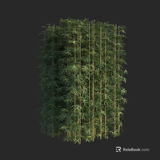 Tall Green Bamboo Plants With Dense Leaves And Natural Stems In Garden 3d model 