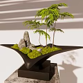 Bonsai Plant with Small Trees Stones and Moss in Black Unique Shaped Pot on Base
