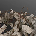 Natural Wood Pieces and Stone Chunks with Twisted Vines and Loose Dirt