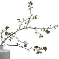 White Vase With Decorative Branches Green Leaves And Small White Flowers