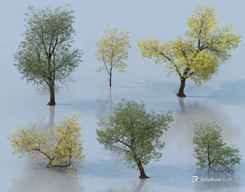 Different Deciduous Trees Displaying Green and Yellow Foliage with Reflections on Smooth Light Surface 3d model 