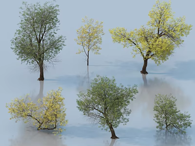 Different Deciduous Trees Displaying Green and Yellow Foliage with Reflections on Smooth Light Surface 3d model