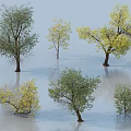 Different Deciduous Trees Displaying Green and Yellow Foliage with Reflections on Smooth Light Surface