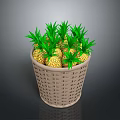 Decorative Wicker Basket Filled With Fresh Green Top Pineapples For Home
