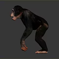 Realistic 3D Render of Standing Chimpanzee with Open Mouth on Gray Background