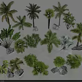 Diverse Tropical Arbor Trees With Various Species And Decorative Rocks For Garden Landscape