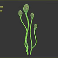 Cartoon Scene Featuring Curved Stem Plants With Pink Spherical Flowers On Grey Background