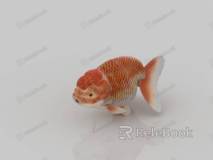 goldfish ornamental fish pet fish koi carp crucian carp red carp model