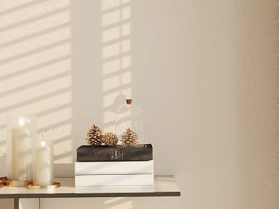 Decorative Ornaments Set With Candles Pinecones Stacked Books On Table Against Wall Sunlight Shadows 3d model
