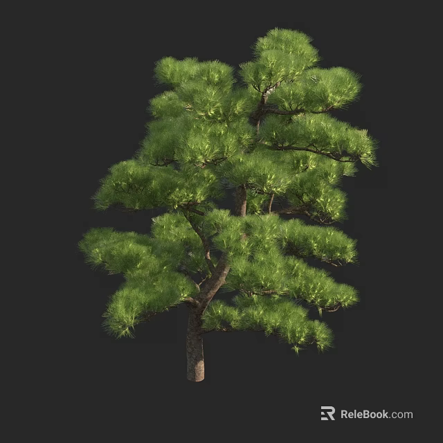 Lush Arbor Pine Tree With Green Foliage And Brown Trunk In Natural Shape 3d model 