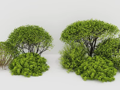 Diverse Green Plant Combination Featuring Shrub and Small Foliage for Natural Garden Landscaping 3d model
