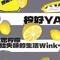 Lemon Themed Photo Spot with Whole Lemons Slices Decorations and Enjoy Lemon Life Vibe