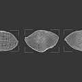 Three Freshly Baked Bread Loaves Isolated On Black Background