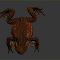 Frog Frog Frog Poison Frog Game Frog Reptile Cold Blooded Animal Reptile Reptile 3d model