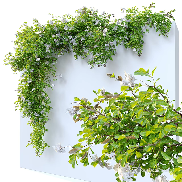 Lush Vines With White Flowers And Green Leaves On White Background 3d model 