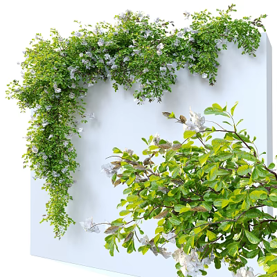 Lush Vines With White Flowers And Green Leaves On White Background 3d model Lush Vines With White Flowers And Green Leaves On White Background 3d model