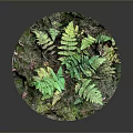 Detailed Miniature Natural Landscape Component With Lush Green Ferns And Mossy Covering
