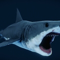 The Modern Shark 3d model