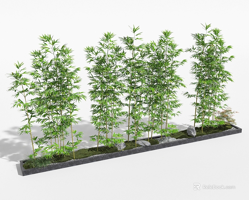 Tall Green Bamboo Plants Neatly Arranged With Stones In Garden Plot 3d model 