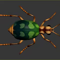 Colorful Beetle with Green Blue Shiny Back Orange Legs and Head Long Antennae 3D Render
