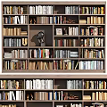 Modern Bookcase Interior With Various Books Different Colors And Decorative Items 3d model