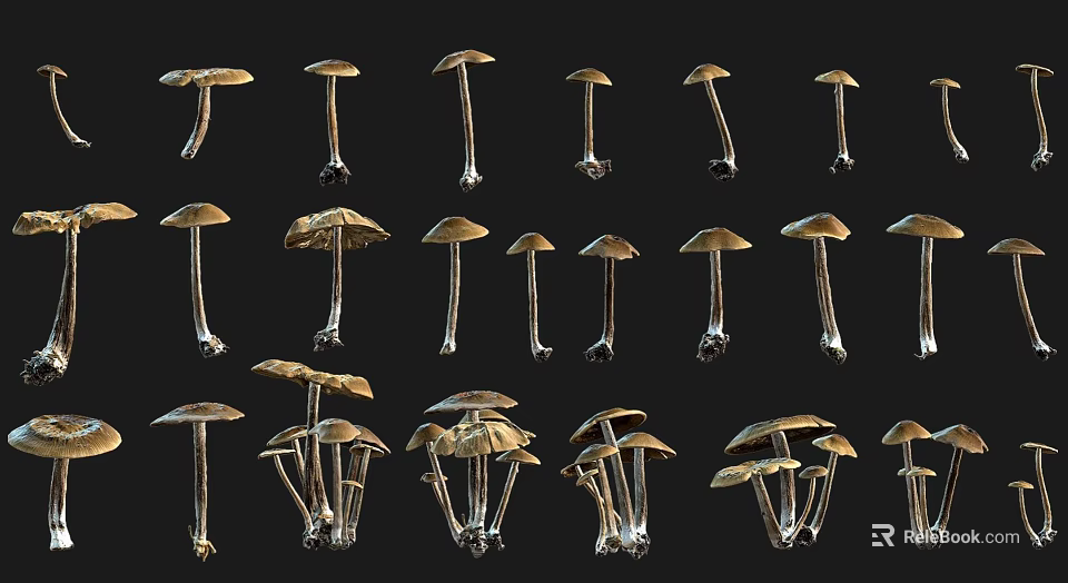 Garden Landscape Featuring Various Forms of Natural Mushrooms as Decorative Elements 3d model