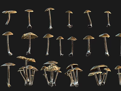 Garden Landscape Featuring Various Forms of Natural Mushrooms as Decorative Elements 3d model