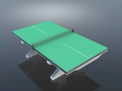 Sturdy Table Tennis Table with Green Surface White Lines Net and Frame for Sports Equipment 3d model