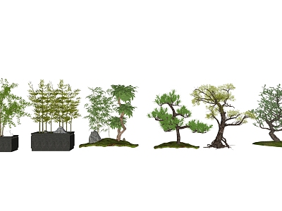 New Chinese Tree Landscape Tree model