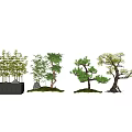New Chinese Tree Landscape Tree 3d model