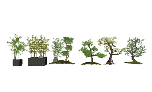 New Chinese Tree Landscape Tree 3d model