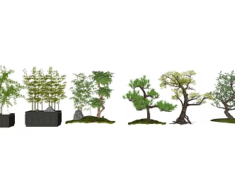 New Chinese Tree Landscape Tree 3d model