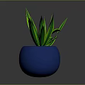 Green Leafy Plant in Blue Spherical Pot with Long Slender Leaves Against Gray Background
