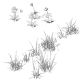 Delightful Garden Ornament With Lush Green Grass Tiny White Flowers And Sunlight Shadows