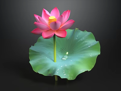 Beautiful Pink Lotus Flower With Green Leaf And Water Droplets On Black Background 3d model