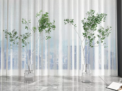 Glass Vases With Green Leafy Branches In Home Interior With White Curtains And Marble Floor 3d model