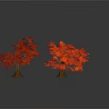 Vibrant Trees With Different Colored Red Orange Yellow Green Leaves On White Background