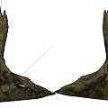 Weathered Wood Stumps With Stone Roots And Natural Soil Texture