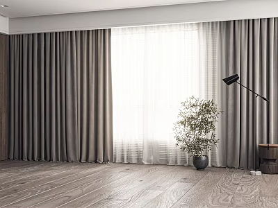 Gray Curtains With White Sheer Panels In Modern Room With Wooden Floor And Potted Plant 3d model