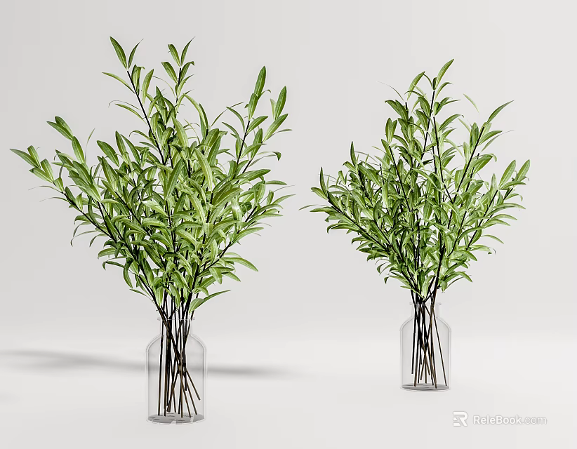Two Transparent Glass Vases With Green Leafy Branches For Home Decorative 3d model 