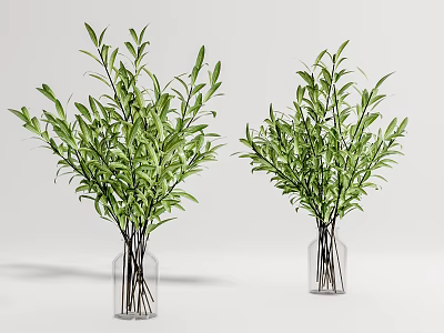 Two Transparent Glass Vases With Green Leafy Branches For Home Decorative 3d model