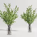 Two Transparent Glass Vases With Green Leafy Branches For Home Decorative