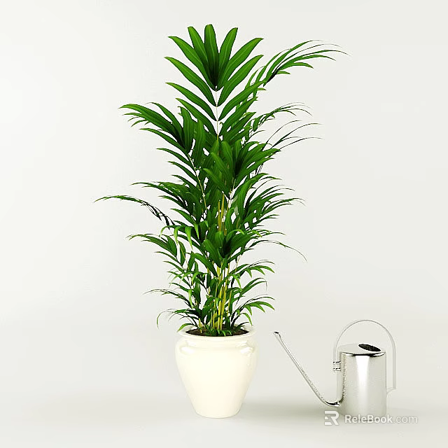 Lush Green Leafy Potted Plant In White Ceramic Pot With Silver Watering Can 3d model 