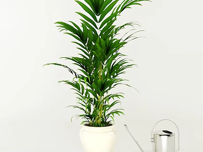 Lush Green Leafy Potted Plant In White Ceramic Pot With Silver Watering Can 3d model
